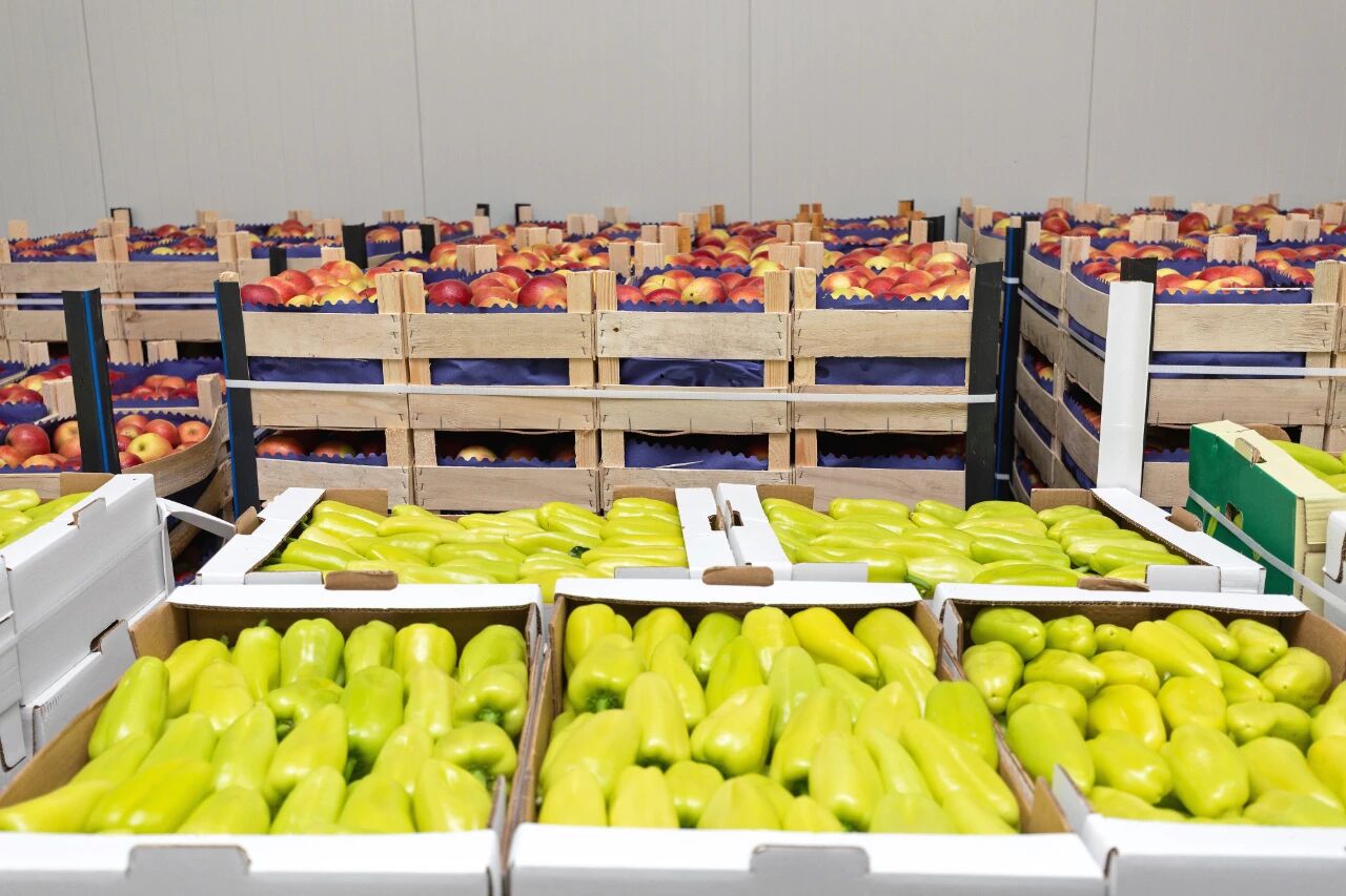 微信图片_2025-10-10_172612_839 微信图片_2025-10-10_172612_839