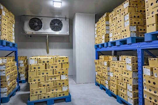 微信图片_2025-10-15_142640_346 微信图片_2025-10-15_142640_346