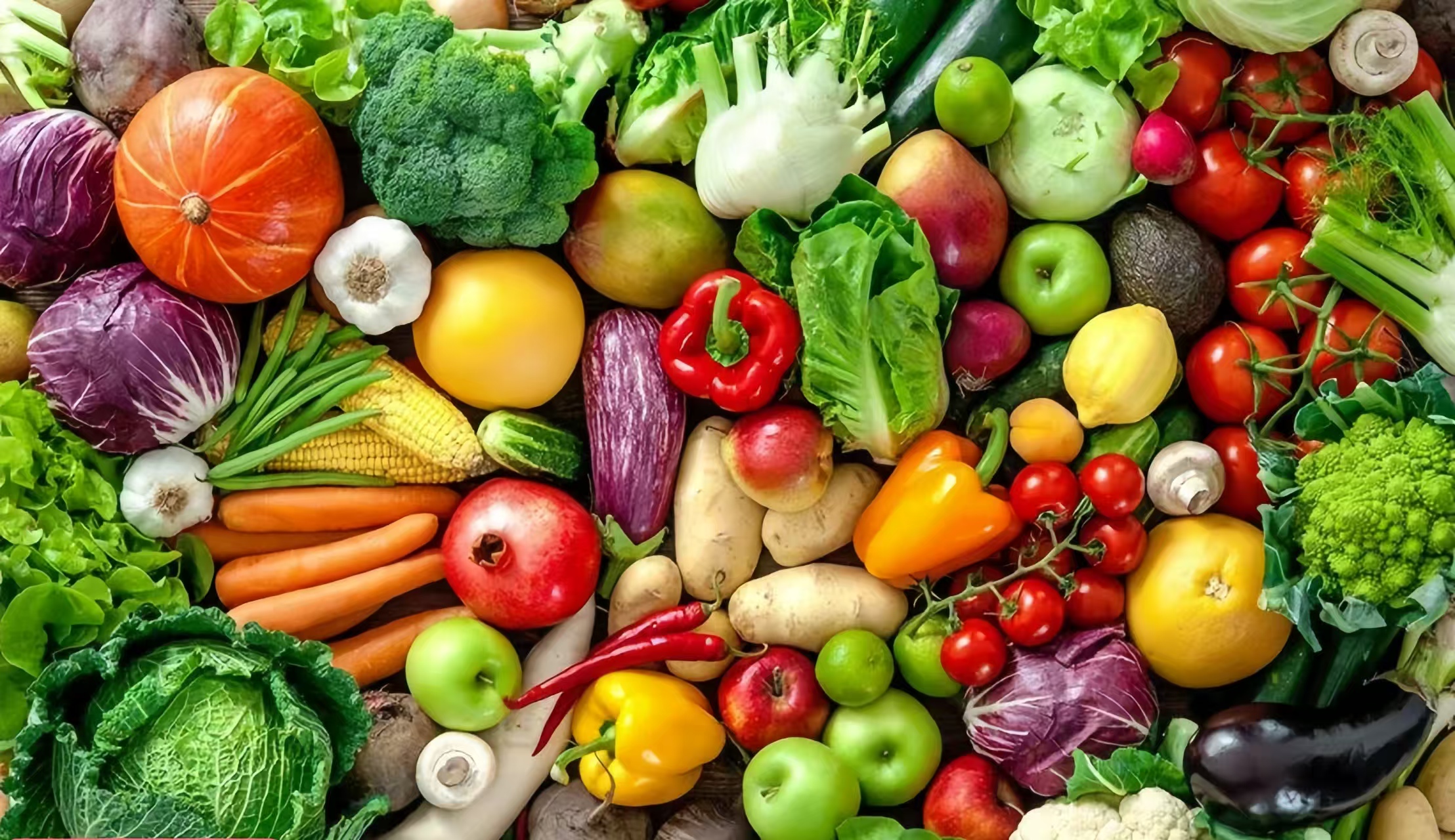 微信图片_20251202163321_1_11 微信图片_20251202163321_1_11