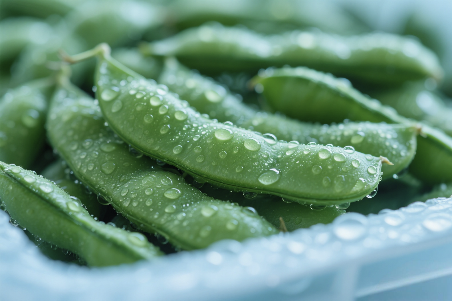 微信图片_20250726164919