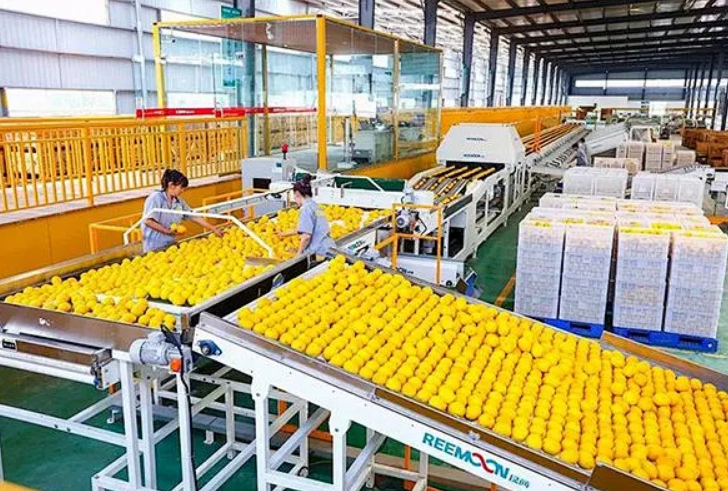 微信图片_2025-09-20_142826_828