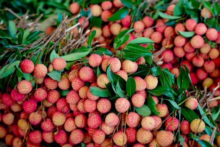 微信图片_2025-09-20_143041_220