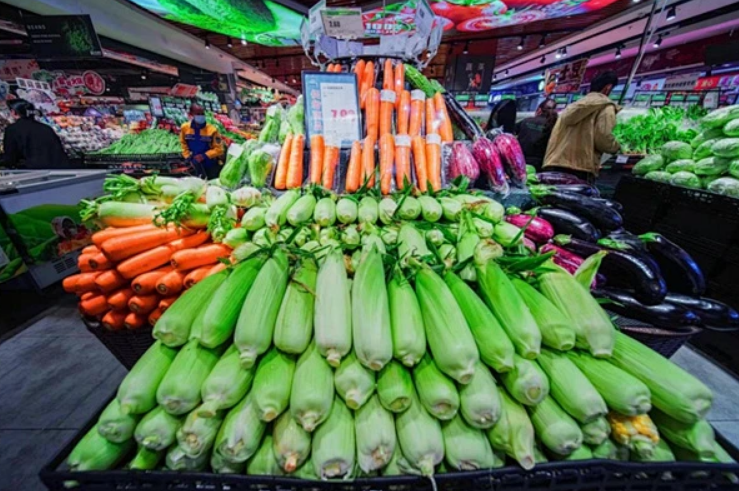 微信图片_2025-09-20_145644_810